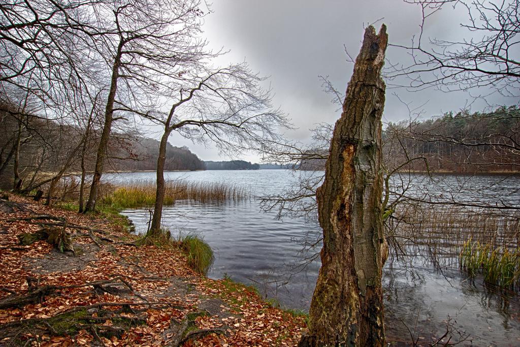 Hotel Am Liepnitzsee Wandlitz Eksteriør bilde