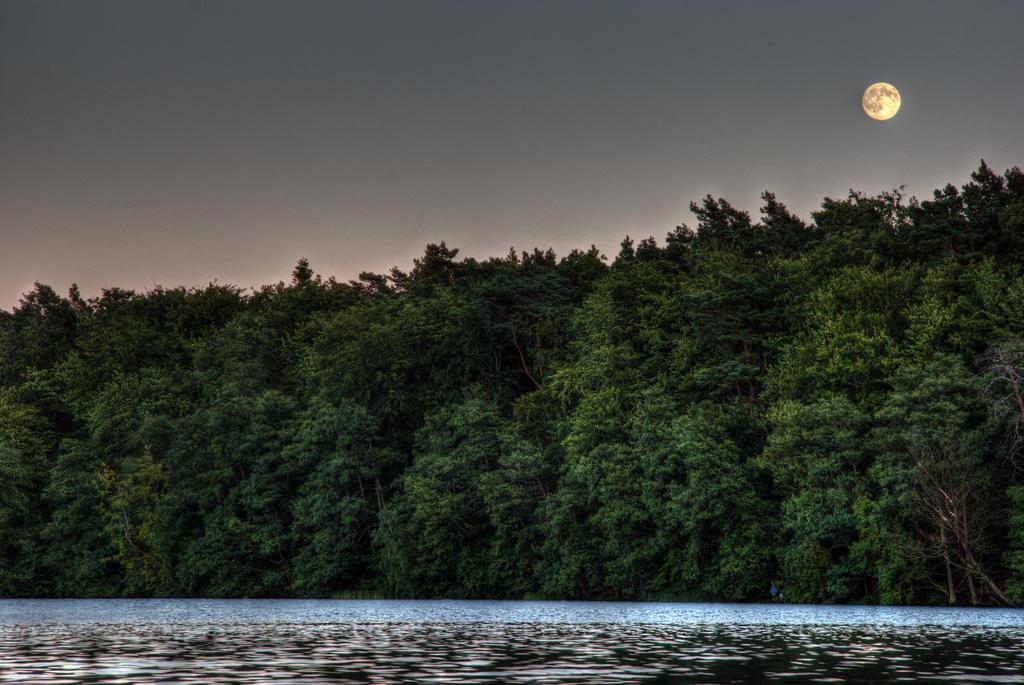 Hotel Am Liepnitzsee Wandlitz Eksteriør bilde