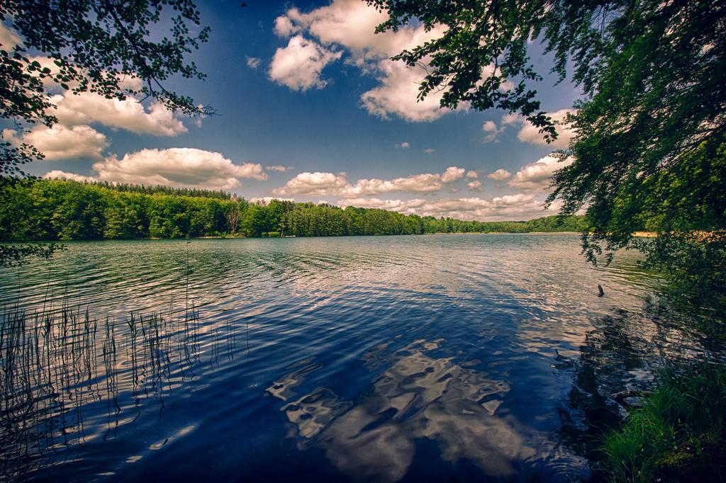 Hotel Am Liepnitzsee Wandlitz Eksteriør bilde