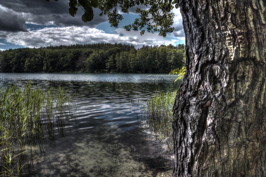 Hotel Am Liepnitzsee Wandlitz Eksteriør bilde